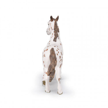 Jument apaloosa cheval PAPO 51509