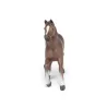 Jument anglo arabe, figurine PAPO 51075