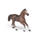 Jument anglo arabe, figurine PAPO 51075