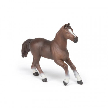 Jument anglo arabe, figurine PAPO 51075
