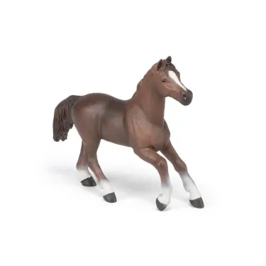 Jument anglo arabe, figurine PAPO 51075