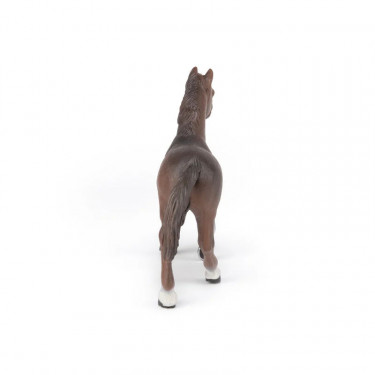 Jument anglo arabe, figurine PAPO 51075