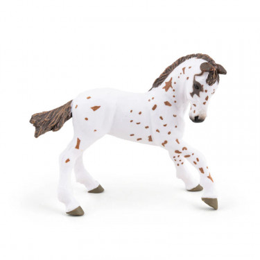 Poulain apaloosa cheval PAPO 51510