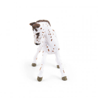 Poulain apaloosa cheval PAPO 51510