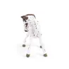 Poulain apaloosa cheval PAPO 51510