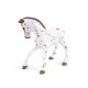 Poulain apaloosa cheval PAPO 51510