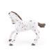 Poulain apaloosa cheval PAPO 51510