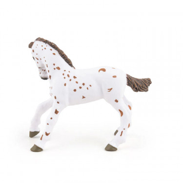 Poulain apaloosa cheval PAPO 51510