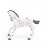 Poulain apaloosa cheval PAPO 51510