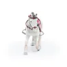 Poney de promenade, PAPO 51526