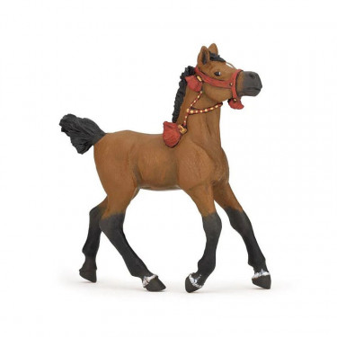 Poulain arabe en tenue de parade, PAPO 51548