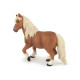 Poney Shetland, PAPO 51518