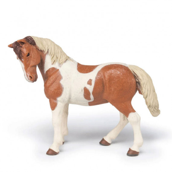 Jument Pinto, PAPO 51094