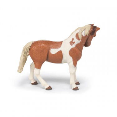 Jument Pinto, PAPO 51094