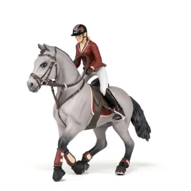 Cheval de concours et sa cavalière PAPO 51563