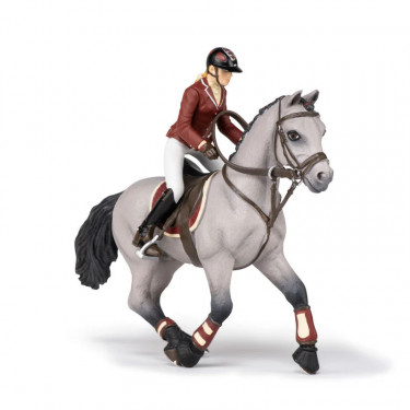 Cheval de concours et sa cavalière PAPO 51563