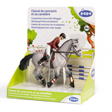 Cheval de concours et sa cavalière PAPO 51563