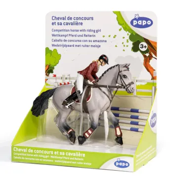Cheval de concours et sa cavalière PAPO 51563