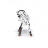 Poulain Appaloosa noir, figurine cheval PAPO 51540