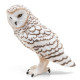 Harfang des neiges PAPO 50167