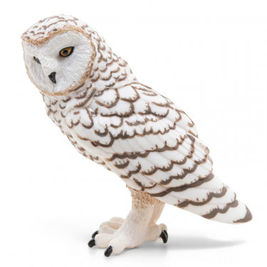 Harfang des neiges PAPO 50167