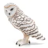 Harfang des neiges PAPO 50167