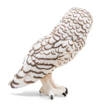Harfang des neiges PAPO 50167