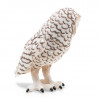 Harfang des neiges PAPO 50167