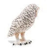 Harfang des neiges PAPO 50167