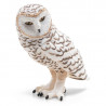Harfang des neiges PAPO 50167