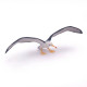 Albatros, figurine PAPO 56038