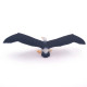 Albatros, figurine PAPO 56038