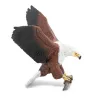 Aigle pêcheur d'Afrique, figurine d'oiseau PAPO 50282