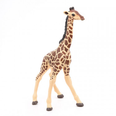 Girafon PAPO 50100