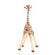 Girafon PAPO 50100