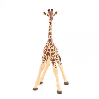 Girafon PAPO 50100