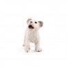Lionceau blanc PAPO 50076