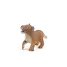 Lionceau PAPO 50022