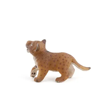 Lionceau PAPO 50022