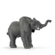 Eléphanteau PAPO 50027