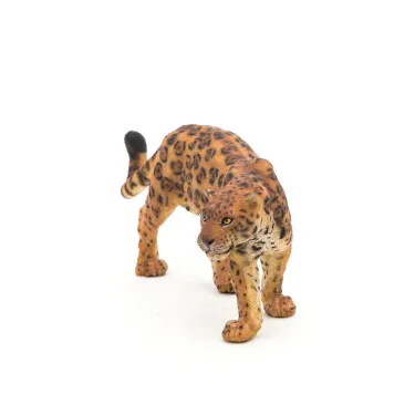 Jaguar PAPO 50094
