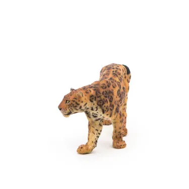 Jaguar PAPO 50094