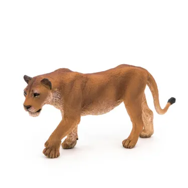 Lionne PAPO 50028