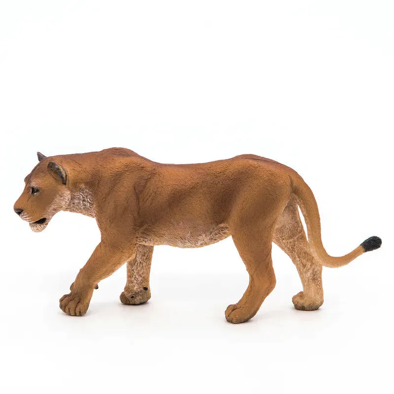 Lionne PAPO 50028