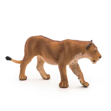 Lionne PAPO 50028