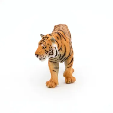 Tigre PAPO 50004