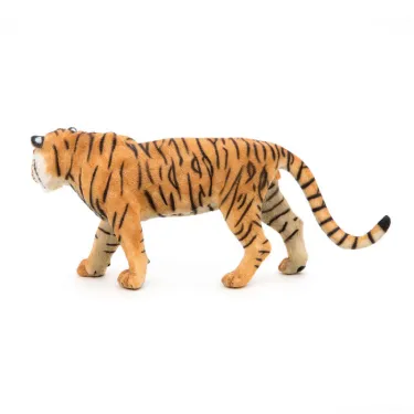 Tigre PAPO 50004