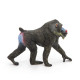Mandrill, figurine PAPO 50121