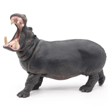 Hippopotame PAPO 50051