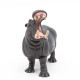 Hippopotame PAPO 50051